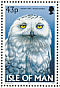 Snowy Owl Bubo scandiacus  1997 Owls Booklet