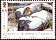 European Robin Erithacus rubecula  2004 Christmas 