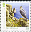 Peregrine Falcon Falco peregrinus  2006 Manx bird atlas 2 strips