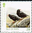 Red-billed Chough Pyrrhocorax pyrrhocorax  2006 Manx bird atlas 2 strips