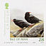 Red-billed Chough Pyrrhocorax pyrrhocorax  2006 Manx bird atlas 2 strips, sa