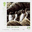 Common Murre Uria aalge  2006 Manx bird atlas 2 strips, sa