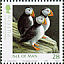 Atlantic Puffin  Fratercula arctica