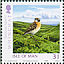 Whinchat Saxicola rubetra  2006 Belgica Sheet