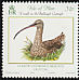 Eurasian Curlew Numenius arquata  2008 Ballaugh Curragh 6v set