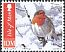 European Robin Erithacus rubecula  2011 Winter birds p 13¼