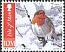 European Robin Erithacus rubecula  2011 Winter birds p 13Â¼