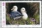 Northern Fulmar Fulmarus glacialis