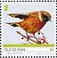 European Stonechat Saxicola rubicola  2019 Wildlife 10v set