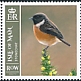 European Stonechat Saxicola rubicola