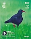 Red-billed Chough Pyrrhocorax pyrrhocorax  2023 Manx Wildlife Trust 50th anniversary 10v booklet, sa
