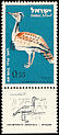 Macqueen's Bustard Chlamydotis macqueenii  1963 Birds 