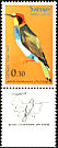European Bee-eater Merops apiaster  1963 Birds 