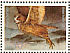 Pharaoh Eagle-Owl Bubo ascalaphus  1987 Biblical birds, owls Sheet, s 31x23mm