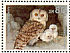Desert Owl Strix hadorami  1987 Biblical birds, owls Sheet, s 31x23mm