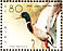 Mallard Anas platyrhynchos  1989 WORLD STAMP EXPO 89 Sheet, s 29x23mm