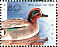 Eurasian Teal Anas crecca  1989 WORLD STAMP EXPO 89 Sheet, s 29x23mm