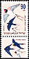 Barn Swallow Hirundo rustica  1992 Songbirds 