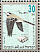 White Wagtail Motacilla alba  1996 China 96 Sheet