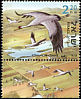Common Crane Grus grus  2002 Birds of the Jordan Valley 