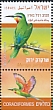 Blue-cheeked Bee-eater Merops persicus  2019 Birds in Israel 