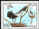 Grey Heron Ardea cinerea  1995 Birds 