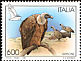 Griffon Vulture Gyps fulvus  1995 Birds 
