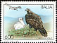Golden Eagle Aquila chrysaetos  1995 Birds 