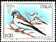 White-winged Snowfinch Montifringilla nivalis  1995 Birds 