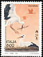 White Stork Ciconia ciconia