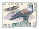 Bonelli's Eagle Aquila fasciata  2019 Europa sa