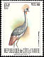Grey Crowned Crane Balearica regulorum  1980 Birds 
