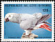 Grey Parrot Psittacus erithacus  1983 Birds 