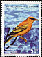 African Golden Oriole Oriolus auratus  1999 Birds 