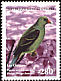 African Green Pigeon Treron calvus  1999 Birds 
