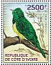 African Emerald Cuckoo Chrysococcyx cupreus  2014 Cuckoos  MS