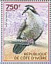 Tambourine Dove Turtur tympanistria  2014 Pigeons and doves Sheet