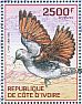 Namaqua Dove Oena capensis  2014 Pigeons and doves  MS