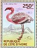 Lesser Flamingo Phoeniconaias minor  2014 Waterbirds Sheet