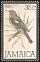 White-chinned Thrush Turdus aurantius