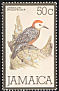 Jamaican Woodpecker Melanerpes radiolatus  1980 Definitives 