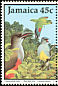 Jamaican Euphonia Euphonia jamaica  1988 Jamaican birds 