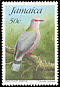 Ring-tailed Pigeon Patagioenas caribaea  1995 Wild birds 