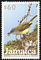 Blue Mountain Vireo Vireo osburni  2003 BirdLife International 