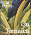 Jamaican Blackbird Nesopsar nigerrimus  2003 BirdLife International Sheet