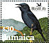 Jamaican Blackbird Nesopsar nigerrimus  2003 BirdLife International Sheet