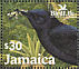 Jamaican Blackbird Nesopsar nigerrimus