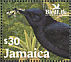 Jamaican Blackbird Nesopsar nigerrimus  2003 BirdLife International Sheet