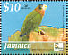 Yellow-billed Amazon Amazona collaria