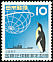 Emperor Penguin Aptenodytes forsteri  1957 International geophysical year 